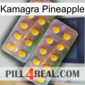 Kamagra Pineapple new10